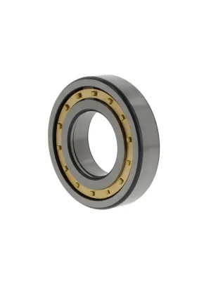 Zylinderrollenlager NUP2305 ECML/C4 SKF Neue Kollektion