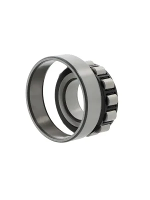 Zylinderrollenlager SKF N313ECP Letzte Chance