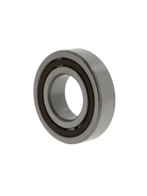 Zylinderrollenlager SKF NJ305ECP/C4VQ015 Gratis Versand